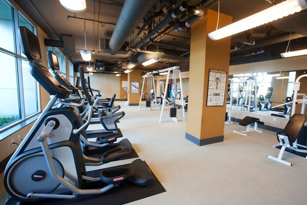 Gym Room Dwellatvue Appealing Gym Room In The Dwellatvue Apartment With Brown Pillars And Wide Glass Windows Under Grey Ceiling Decoration  Amazing Elegant Dwelling For Fantastic Modern Home Tour