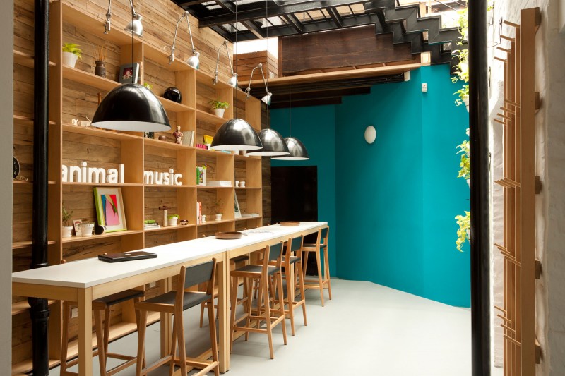 Blue Wall Animal Fabulous Blue Wall Inside The Animal Music Studio With Wooden Shelves And The Long Wooden Table Decoration Trendy And Fascinating Office Design Of The Animal Music Project