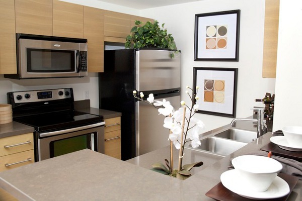 Kitchen In Apartment Modern Kitchen In The Dwellatvue Apartment With Long Island And Wooden Drawers Under The White Ceiling Decoration Amazing Elegant Dwelling For Fantastic Modern Home Tour