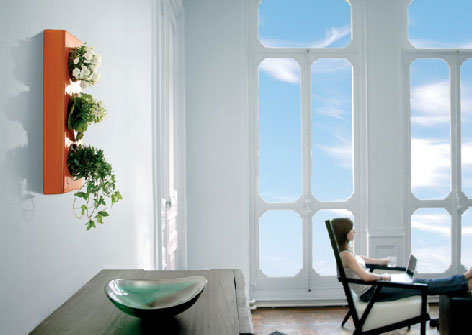 Living Room With Appealing Living Room Naturally Decorated With Decorative Flower On Orange Box Pot Which Floated On White Wall Decoration Refreshing Indoor Plants Decoration For Stylish Interior Displays