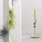 Birch Tree White Awesome Birch Tree Planted On White Plywood Mixed With Fresh Beech And Corian Plant For Modern Pot On Simple Gardening Decoration Refreshing Indoor Plants Decoration For Stylish Interior Displays