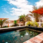 Casa Seta In Captivating Casa Seta Home Design In Outdoor Space Decorated With Small Pool Design In Natural Decoration Ideas For Inspiration Dream Homes Lively Colorful House Creating Energetic Ambience