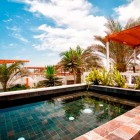 Casa Seta In Captivating Casa Seta Home Design In Outdoor Space Decorated With Small Pool Design In Natural Decoration Ideas For Inspiration Dream Homes Lively Colorful House Creating Energetic Ambience