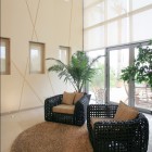 Black Chairs Fur Chic Black Chairs Facing Cream Fur Rug In Ghazale Residence That Taupe Pillows Accompany The Planters Decor Dream Homes Wonderful Outdoor Features Ideas Inspired With Modern Style