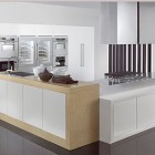 Ultra Modern Furnished Enchanting Ultra Modern Kitchen Designs Furnished With Snow White Kitchen Islands And Cabinet Set From Tecnocucina Kitchens Elegant Modern Kitchen Design Collections Beautifying Kitchen Interior