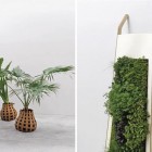 Plants Displayed Modern Enticing Plants Displayed In A Modern Pot Designs And Decorated The Cement Way Inside Modern House Building Decoration Refreshing Indoor Plants Decoration For Stylish Interior Displays