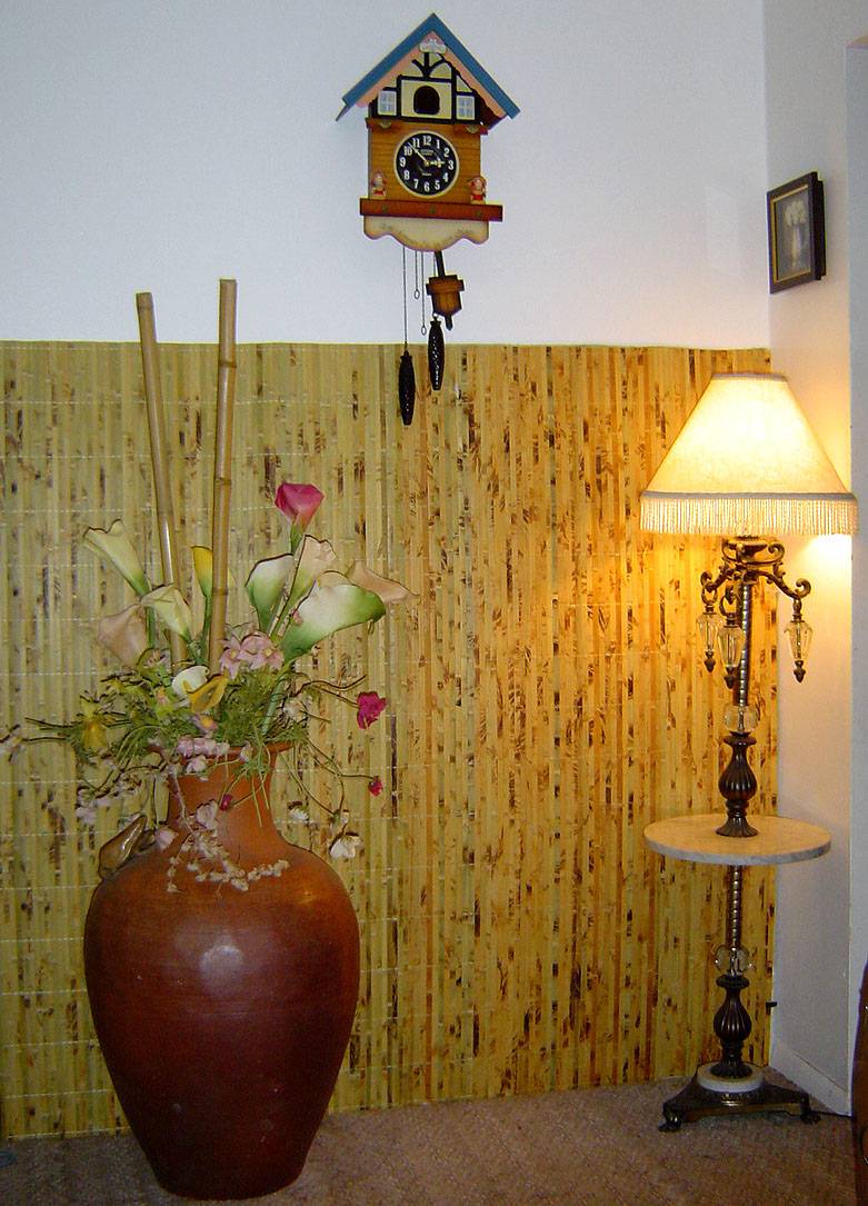 Bamboo Wall In Fabulous Bamboo Wall Panels Design In Traditional Entry Way Interior Completed With Traditional Stylish Floor Lampshade Design Ideas Decoration Attractive Bamboo Wall Panels As Eco Friendly Decoration