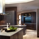 Kitchen Cupboards Grey Fabulous Kitchen Cupboards Ideas In Grey Applied On Modern Kitchen With Small Island And Metal Range Hood Design Kitchens Deluxe Kitchen Cupboards Ideas With Enchanting Kitchen Designs