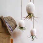 Awesome Hanging Oval Fresh Awesome Hanging Plants With Oval Shaped Pots And Arranged In Upside And Down Inside The Modern Room Decoration Refreshing Indoor Plants Decoration For Stylish Interior Displays