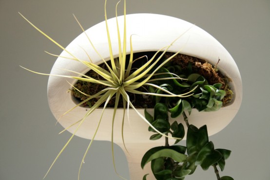 Golly Pods Design Gorgeous Golly Pods With Funky Design Which Beautifully Displays Thorny Plants Equipped With Fertilizer And Soil Decoration  Refreshing Indoor Plants Decoration For Stylish Interior Displays