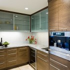 Kitchen Cabinet Furnishing Great Kitchen Cabinet With Wooden Furnishing And The Planters Make Fresh Atmosphere In The Area Kitchens Candid Kitchen Cabinet Design In Luminous Contemporary Style