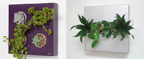 Flower With On Greenish Flower With Mini Pots On Minimalist Box Combined With Vine Plants For Hanging Wall Arts Decoration Refreshing Indoor Plants Decoration For Stylish Interior Displays