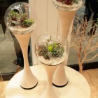 Cool Pots Small Minimalist Cool Pots Which Enclosed Small Decorative Plant With Hole Life Oxygen On White Granite Table Decoration Refreshing Indoor Plants Decoration For Stylish Interior Displays