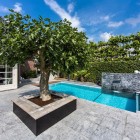 Plantation Growing With Natural Plantation Growing In Planter With Soil Designed In Geometric Put In Dream Backyard Home Pool Area Swimming Pool Beautiful Pool Backyard For Luxury And Fresh Backyard Look