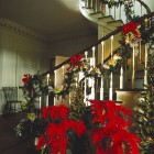 Red And Attached Refreshing Red And Green Leaves Attached As Staircase Christmas Decor Along The Balustrade With Pot Or Nothing Decoration Magnificent Christmas Decorations On The Staircase Railing