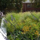 Weeds Combined Flower Refreshing Weeds Combined With Small Flower Plants On Fertile Lands Outside Euclid Avenue House On First Floor Decoration Amazing House Plant Decor With A Modern Taste In Urban Residence