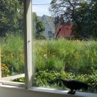 Light Gray Windows Simple Light Gray Wooden Glass Windows In Euclid Avenue House Beautified With Green Plants Installed Outside Beside Windows Decoration Amazing House Plant Decor With A Modern Taste In Urban Residence