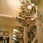 Christmas Tree Placed Tall Christmas Tree Decorated Fabulously Placed Under Cool Circular Staircase Christmas Decor With Chandelier Decoration Magnificent Christmas Decorations On The Staircase Railing