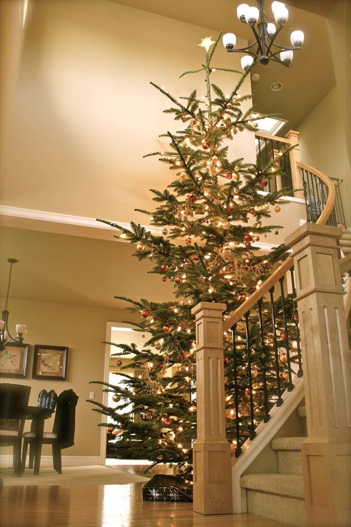 Christmas Tree Placed Tall Christmas Tree Decorated Fabulously Placed Under Cool Circular Staircase Christmas Decor With Chandelier Decoration Magnificent Christmas Decorations On The Staircase Railing