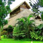 Villa Escudero Two Astonishing Villa Escudero Resort Including Two Story House Building Construction With Straw Roof Design Located In Grass Field And Forrest Views Restaurant Unique Villa Design Providing Stunning Unusual Experience