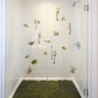 Bathroom Shower Botanist Brilliant Bathroom Shower Ideas In Botanist Suite I3 Design Group With Glass Shower Door And Painted Tile Wall Interior Design Elegant Botanical Interior Decoration Within Contemporary Modern Apartment