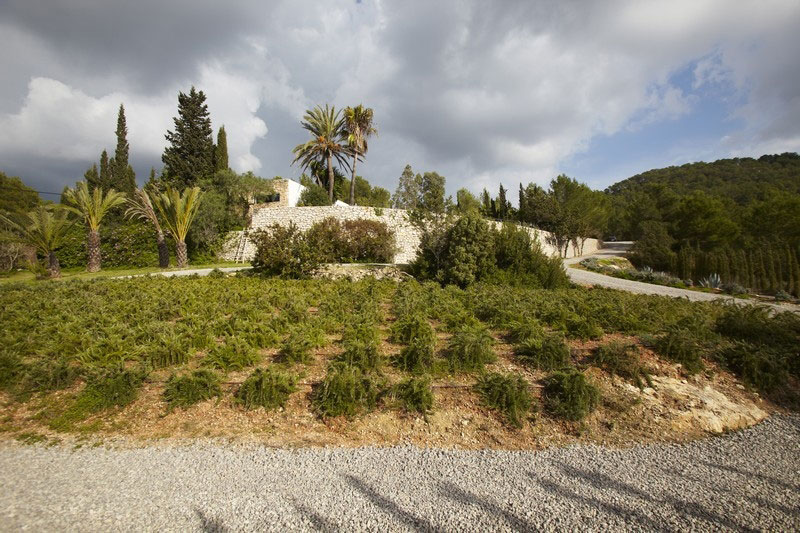 Green Space Villa Traditional Green Space Near The Villa By The Sea With Green Plantations And Wide Pebble Space Dream Homes Beautiful And Contemporary Spanish Villa With Open Living Room