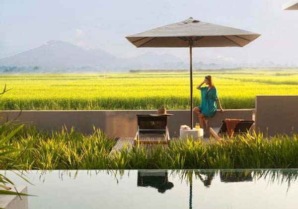 Field And Seen Amazing Field And Mountain View Seen From Alila Villas Soori Lounge With Infinity Swimming Pool Constructed Behind Lounge Hotels & Resorts Luxurious Modern Tropical Villa With Indoor And Outdoor Swimming Pools