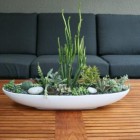 Succulent Planter Pott Amusing Succulent Planter In White Pot On The Wooden Table Beside Steel Sofas In The Interior Design Ideas Garden Fresh Indoor Gardening Ideas For Family Room And Private Rooms
