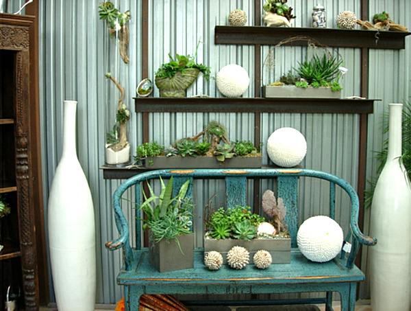 Garden Indoor Chair Appealing Garden Indoor With Blue Chair Feat Cactus Beside White Ball And Porcelain Make Nice The Decoration Garden  Fresh Indoor Gardening Ideas For Family Room And Private Rooms