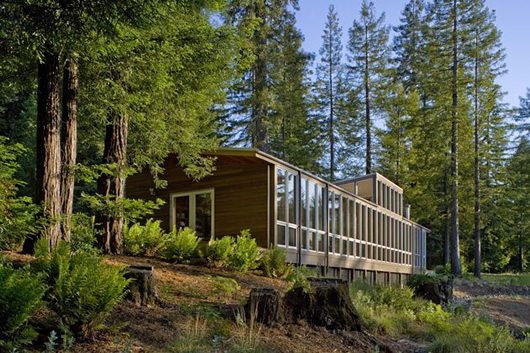 Modern Cottage Sebastopol Cozy Modern Cottage Design Of Sebastopol Residence Covered With Shady Tall Tree And Adorned With Green Natural Plantation Dream Homes Gorgeous Modern Residence Full Of Warm Tones And Cozy Textures