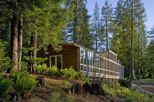 Modern Cottage Sebastopol Cozy Modern Cottage Design Of Sebastopol Residence Covered With Shady Tall Tree And Adorned With Green Natural Plantation Dream Homes  Gorgeous Modern Residence Full Of Warm Tones And Cozy Textures