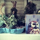 Succulent And With Creative Succulent And Driftwood Arrangement With Owl Paint Wall That Make Artistic The Interior Design Garden Fresh Indoor Gardening Ideas For Family Room And Private Rooms