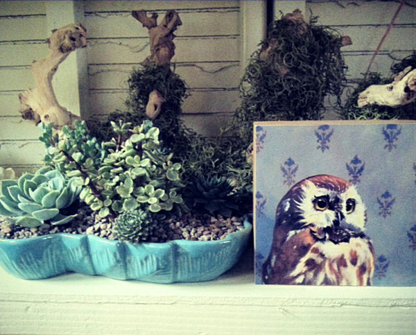 Succulent And With Creative Succulent And Driftwood Arrangement With Owl Paint Wall That Make Artistic The Interior Design Garden  Fresh Indoor Gardening Ideas For Family Room And Private Rooms