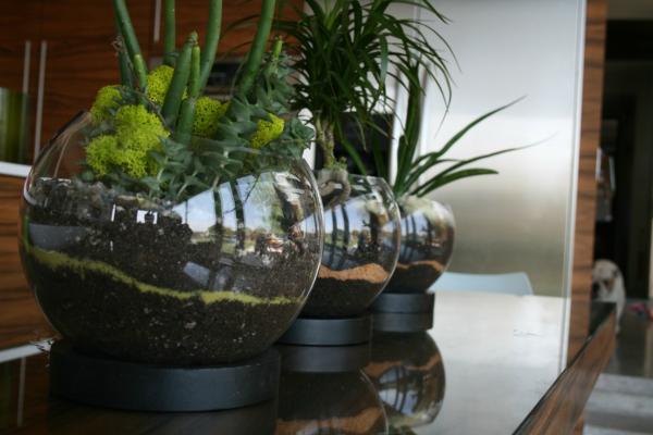 Terrarium Collection Potts Fresh Terrarium Collection With Circle Potts Feat Green Planters That Make Stylish The Interior Design Garden Fresh Indoor Gardening Ideas For Family Room And Private Rooms