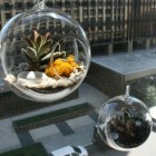 Hanging Terrarium Pattern Gravy Hanging Terrarium Design Circle Pattern With Planters In Modern Design That Make Stylish Our Decor Garden Fresh Indoor Gardening Ideas For Family Room And Private Rooms