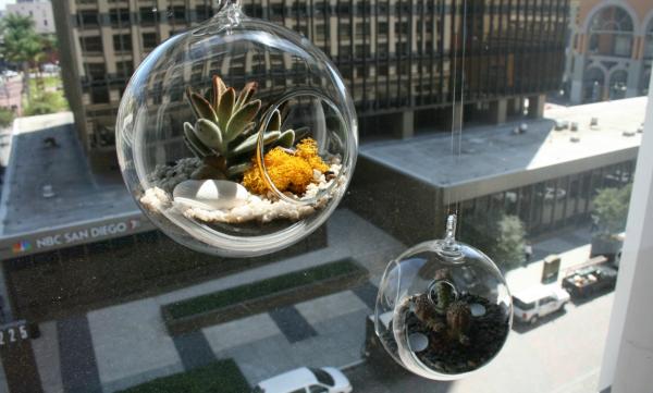 Hanging Terrarium Pattern Gravy Hanging Terrarium Design Circle Pattern With Planters In Modern Design That Make Stylish Our Decor Garden  Fresh Indoor Gardening Ideas For Family Room And Private Rooms