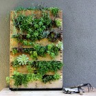 Recycled Palette Feat Impressive Recycled Pallet Vertical Garden Feat Wooden Table In Modern Design That Inspiring Our Decor Garden Fresh Indoor Gardening Ideas For Family Room And Private Rooms