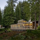 Modern Cottage Sebastopol Shady Modern Cottage Design Of Sebastopol Residence Constructed On Sloping Land In The Middle Of Lush Forest Dream Homes Gorgeous Modern Residence Full Of Warm Tones And Cozy Textures