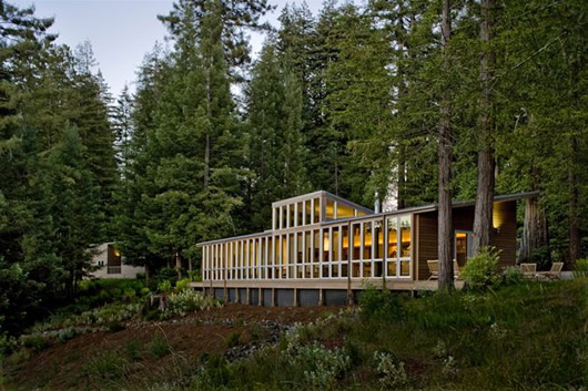 Modern Cottage Sebastopol Shady Modern Cottage Design Of Sebastopol Residence Constructed On Sloping Land In The Middle Of Lush Forest Dream Homes  Gorgeous Modern Residence Full Of Warm Tones And Cozy Textures