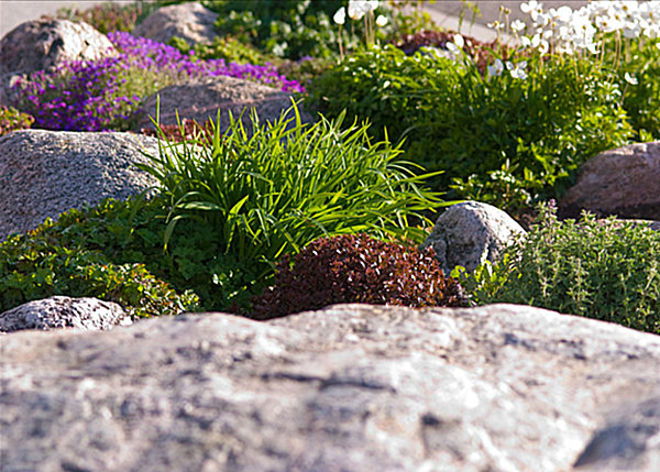 Rock Garden With Amusing Rock Garden Plants Area With Stones Accompany The Area That Kind Of Planters Add Nice The Decoration Garden 17 Amazing Garden Design Ideas With Rocks And Stones Appearance