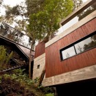 Building Design House Captivating Building Design Of Corallo House With Dark Brown Wall Made From Wooden Material And Wide Shaped Glass Panel Windows Dream Homes Exquisite Modern Treehouse With Stunning Cantilevered Roof