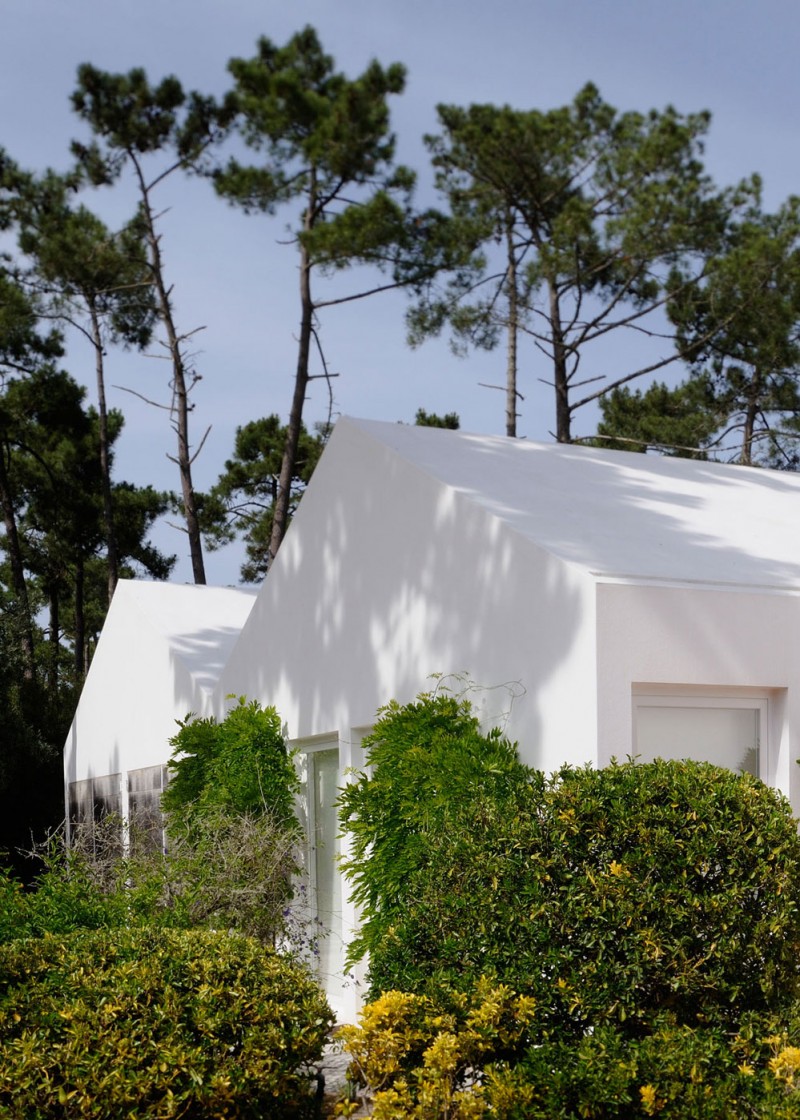 Building Design In Cool Building Design Of House In Banzao With White Concrete Wall And Green Plants Surrounding The House Architecture Brilliant Contemporary Home With Stunningly Monochromatic Style