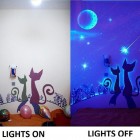 Difference Between Second Cool Difference Between First And Second Picture Of Glow In The Dark Cat Decal When The Lights Turned On And Off Bedroom Stunning Bedroom Decoration With Glow In The Dark Paint Colors