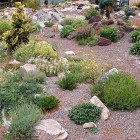 View By Plant Distinct View By Rock Garden Plant Variety At The Daylight Showing Kind Of Flowers Which Crowded The Area Garden 17 Amazing Garden Design Ideas With Rocks And Stones Appearance