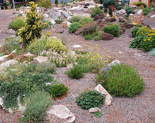 View By Plant Distinct View By Rock Garden Plant Variety At The Daylight Showing Kind Of Flowers Which Crowded The Area Garden 17 Amazing Garden Design Ideas With Rocks And Stones Appearance