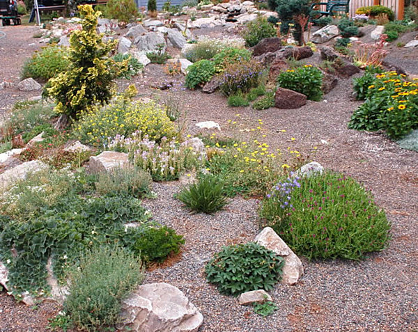 View By Plant Distinct View By Rock Garden Plant Variety At The Daylight Showing Kind Of Flowers Which Crowded The Area Garden  17 Amazing Garden Design Ideas With Rocks And Stones Appearance