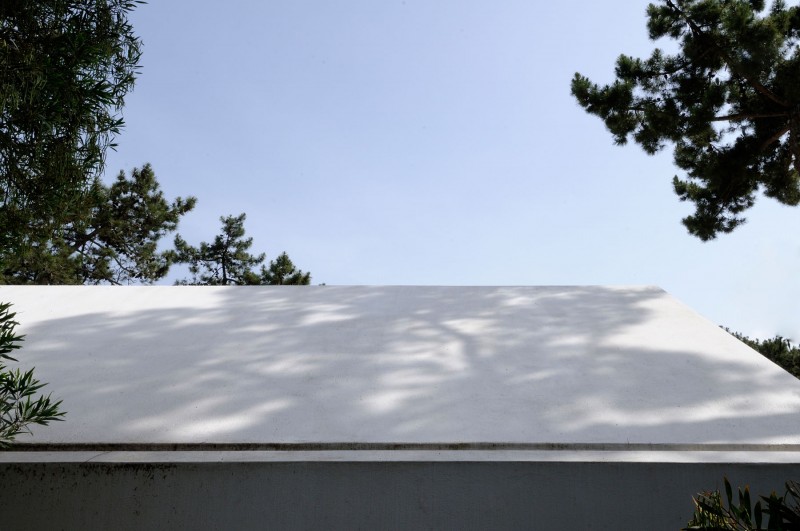 Building Design In Enchanting Building Design Of House In Banzao With Diagonal Shape Of Roof Made From Concrete And Several Green Trees Filled The Garden Architecture  Brilliant Contemporary Home With Stunningly Monochromatic Style