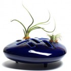 Plant Vase With Fascinating Plant Vase In Blue With Green Plant And An Unusual Shape For The Amazing Ornaments Decoration Creative Flower Vase To Adorn Your Contemporary Homes