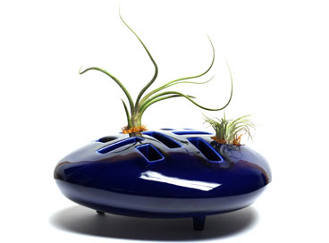 Plant Vase With Fascinating Plant Vase In Blue With Green Plant And An Unusual Shape For The Amazing Ornaments Decoration Creative Flower Vase To Adorn Your Contemporary Homes