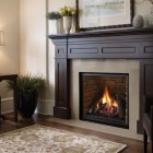 Fireplace Mantels Color Gravy Fireplace Mantels In Black Color That Planters Accompanied The Wooden Table And Chairs Also Decoration Sophisticated Fireplace Mantel Decoration For Cozy Home Interiors